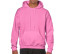 HEAVY BLEND ADULT HOODED SWEATSHIRT